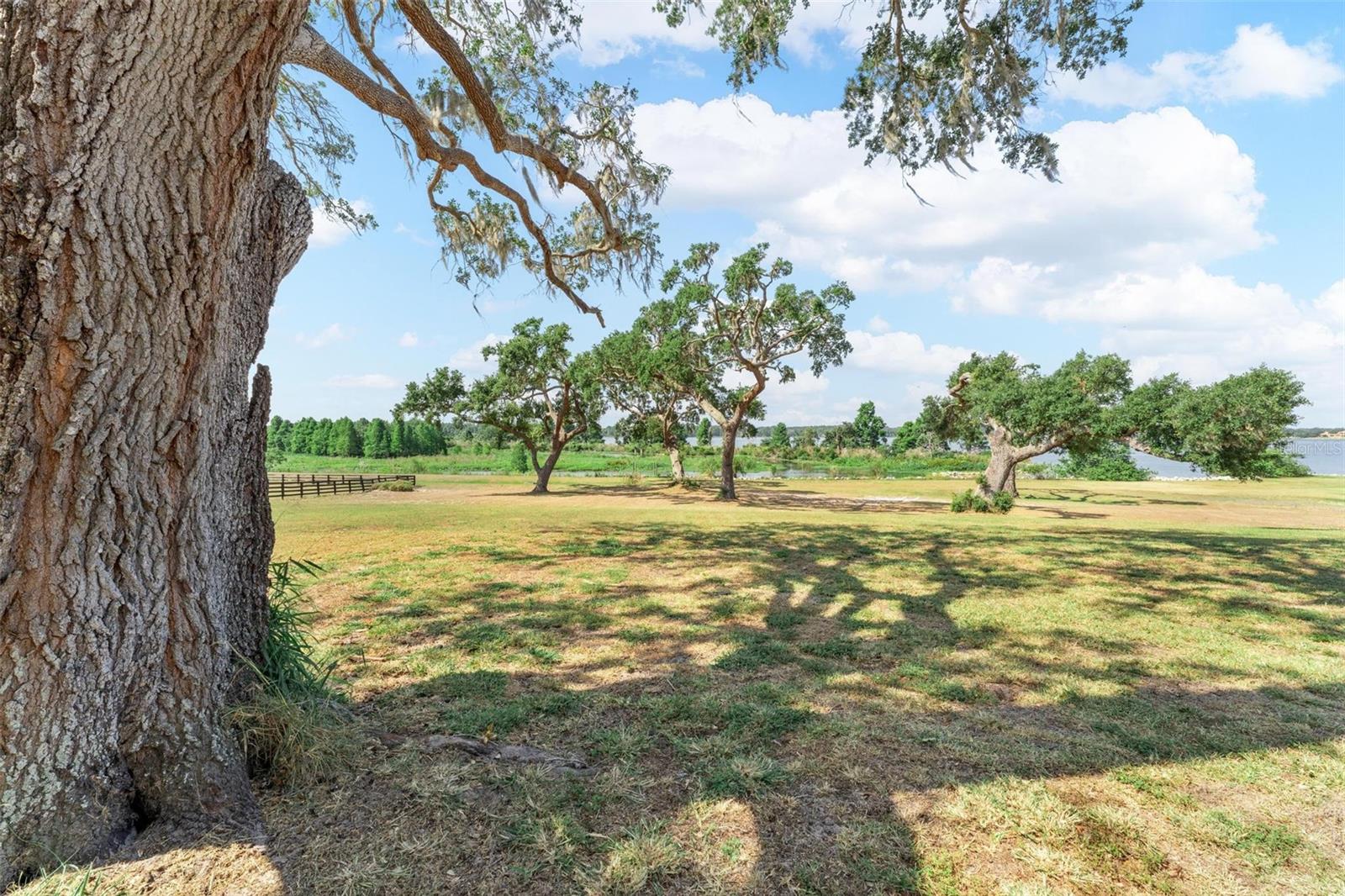 Image 46 of 100 For 12133 Stonelake Ranch Blvd