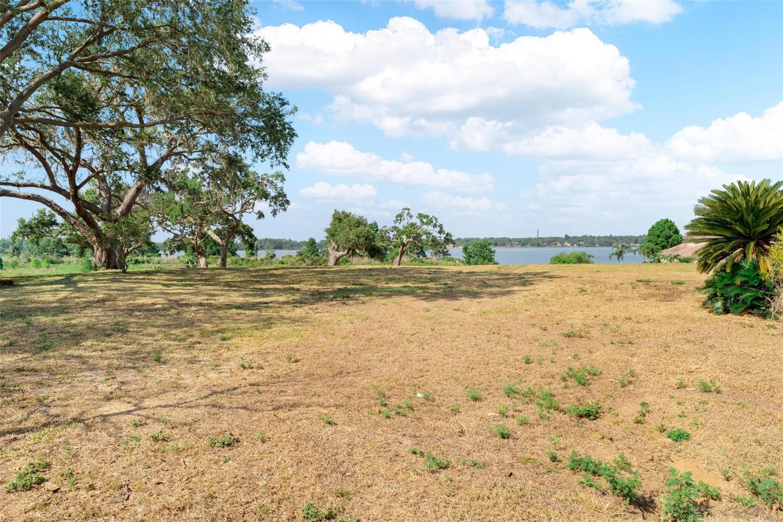 Image 81 of 100 For 12133 Stonelake Ranch Blvd