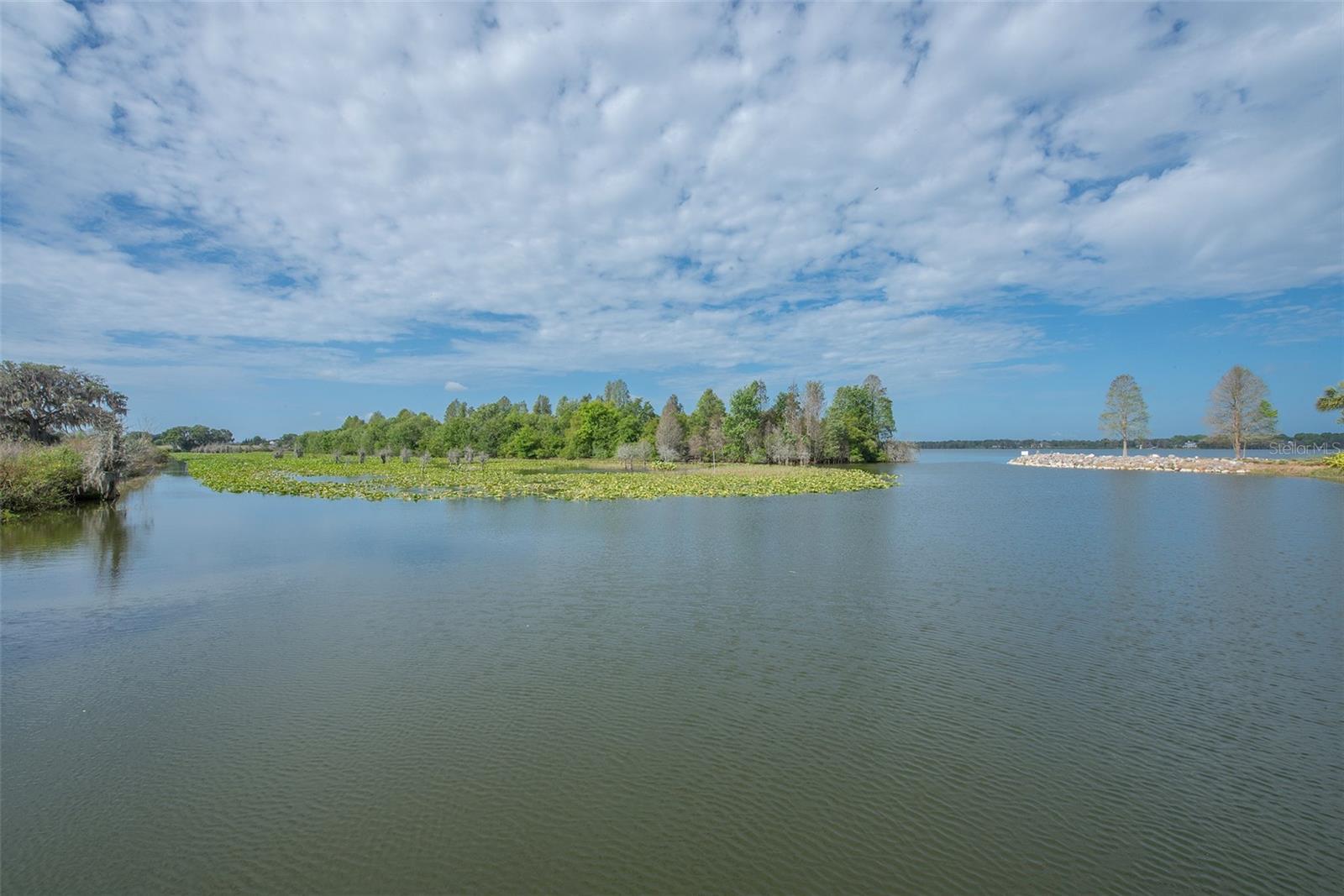 Image 93 of 100 For 12133 Stonelake Ranch Blvd