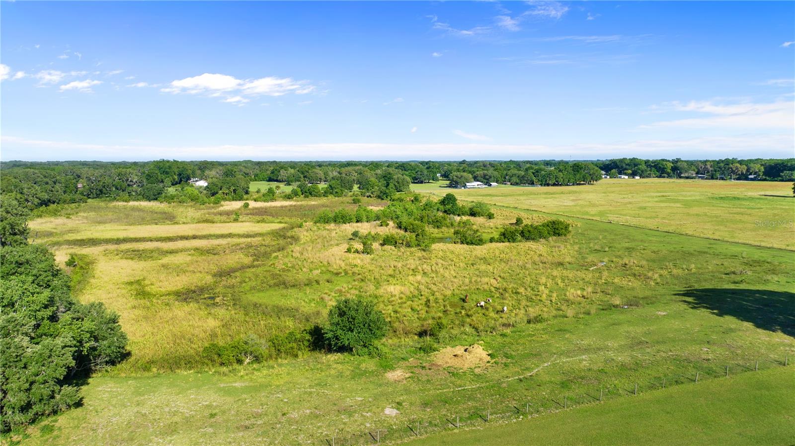 Image 97 of 100 For 12133 Stonelake Ranch Blvd