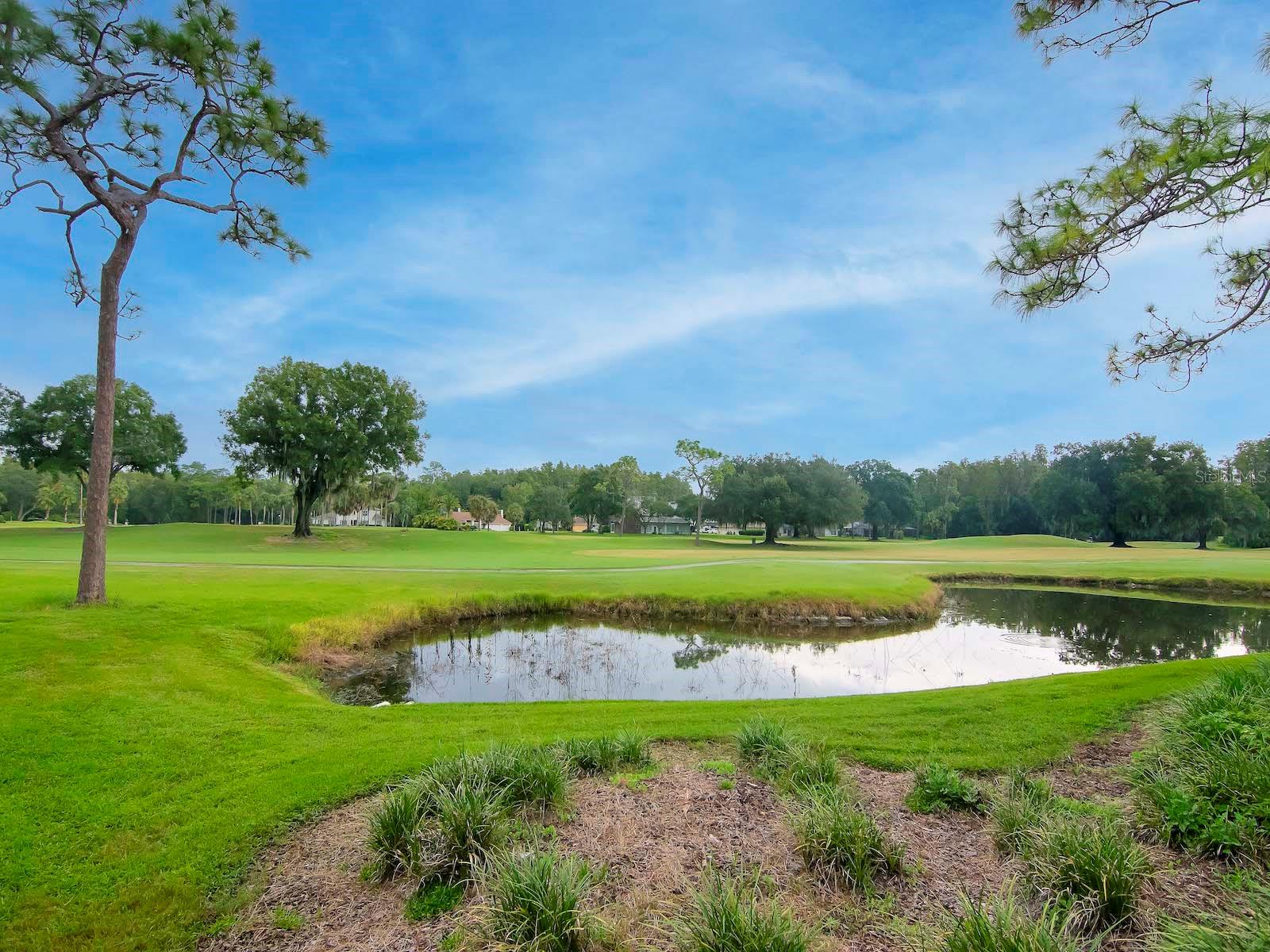 Image 2 of 30 For 29147 Bay Hollow Drive 3217