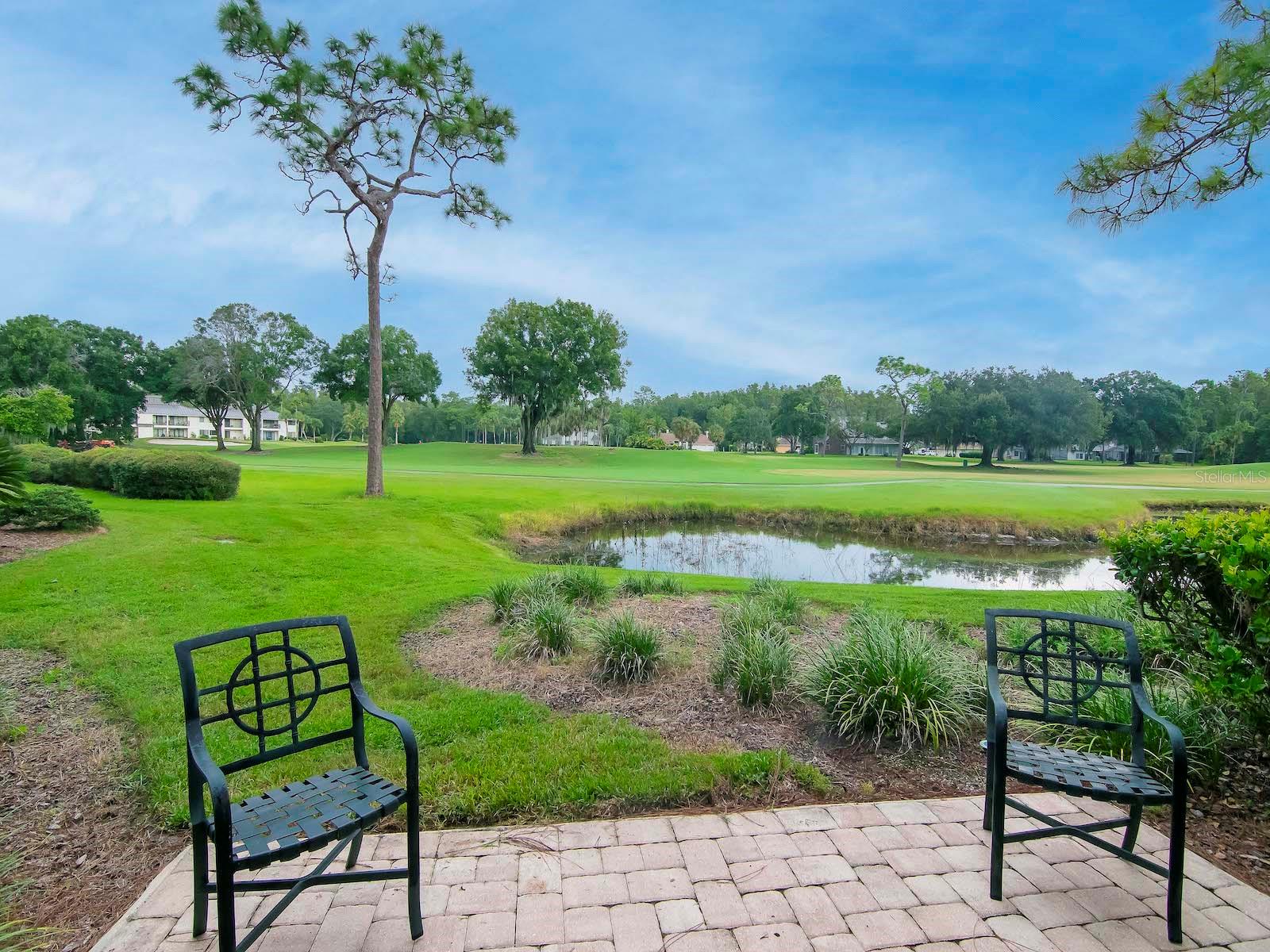 Image 26 of 30 For 29147 Bay Hollow Drive 3217