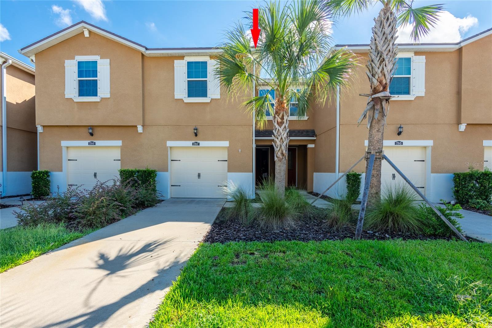 Details for 17847 Althea Blue Place, LUTZ, FL 33558