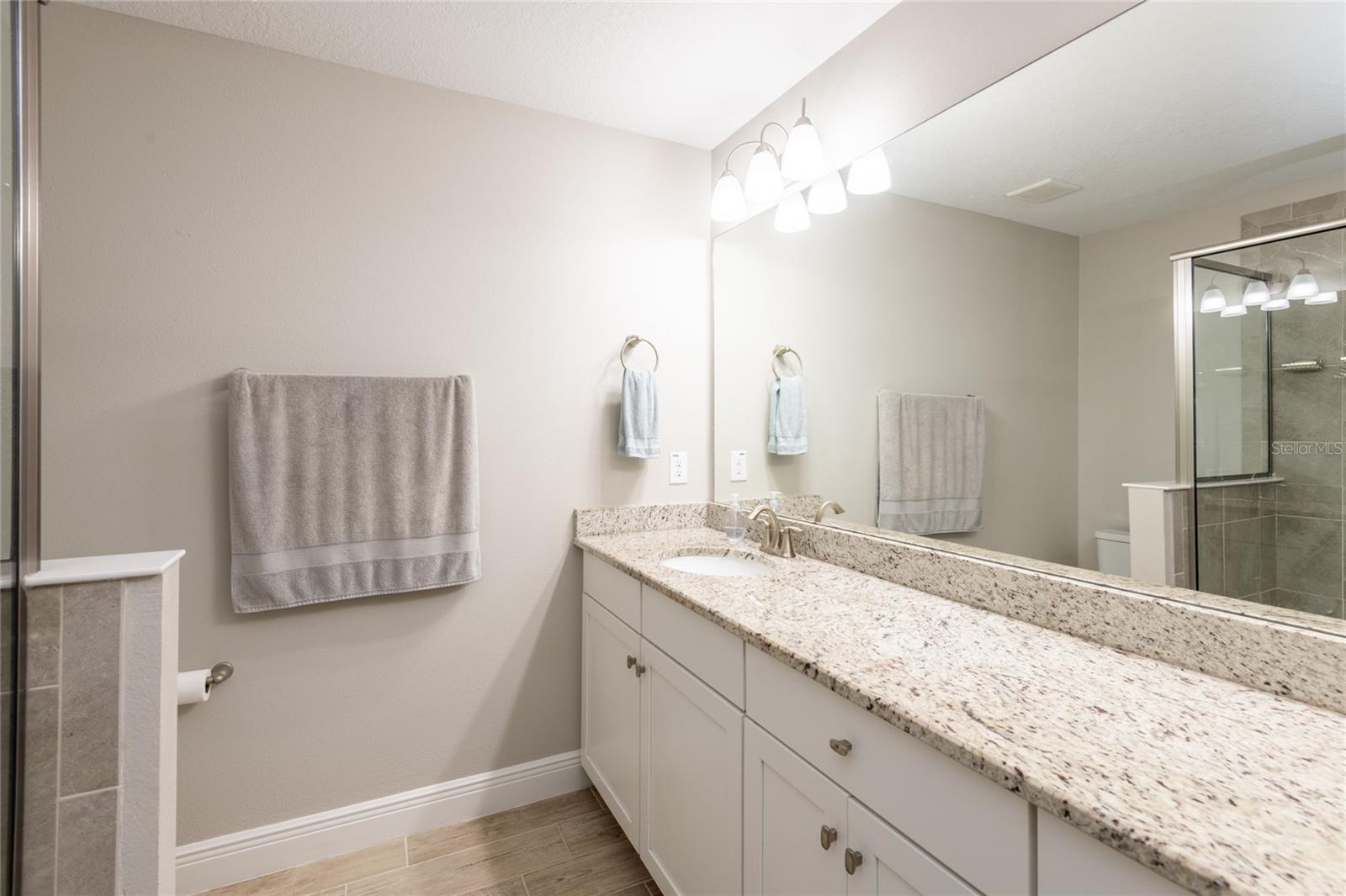 Listing photo id 23 for 17847 Althea Blue Place