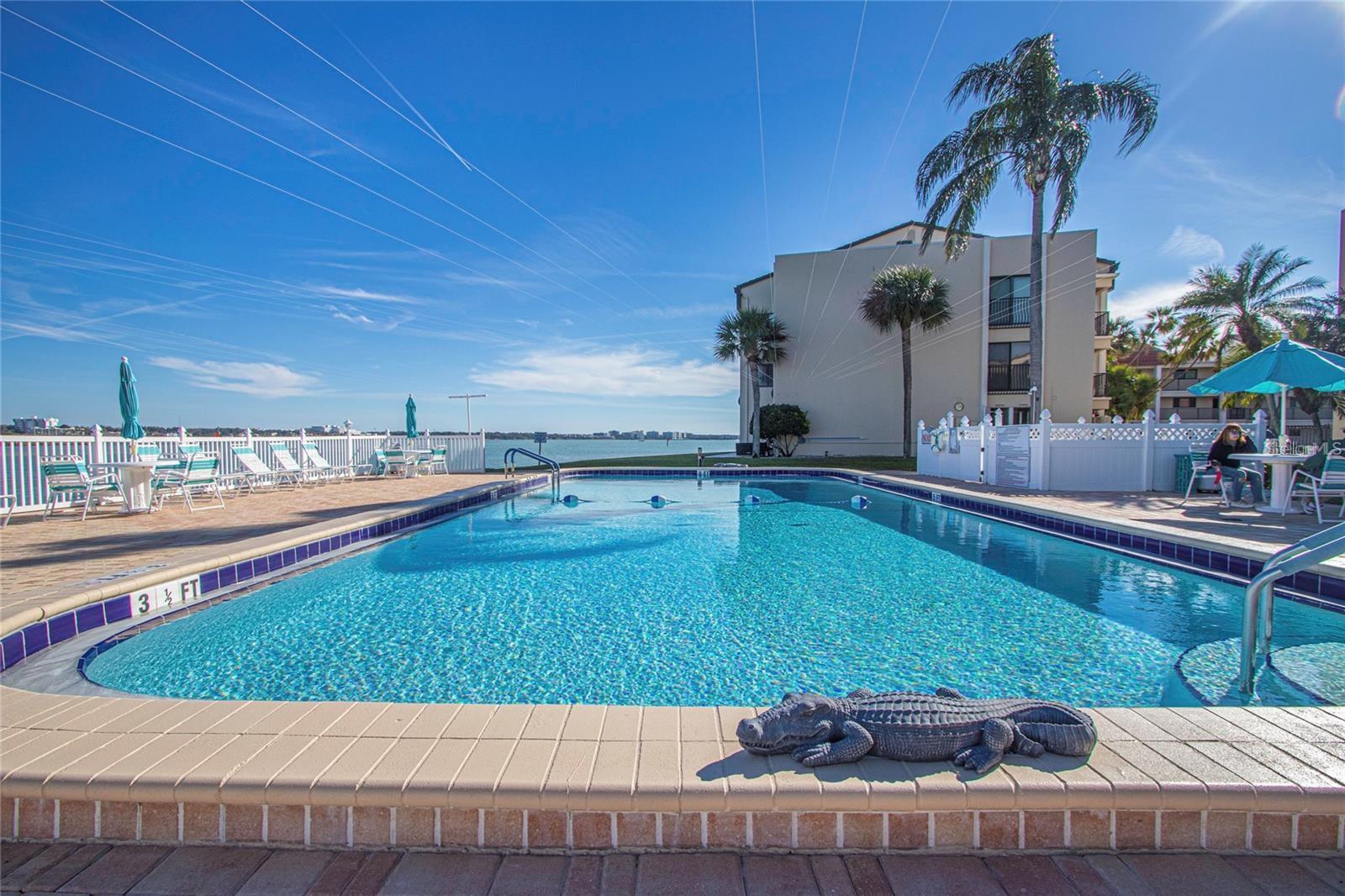 Image 12 of 30 For 845 Gulfview Boulevard 110
