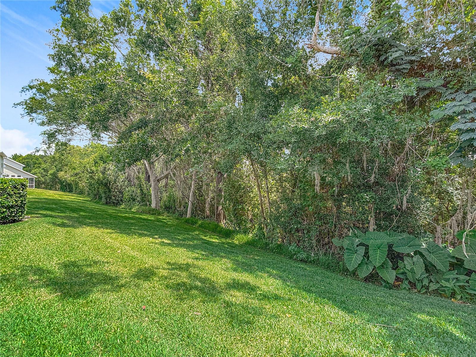 Image 56 of 64 For 1628 Lullwater Lane