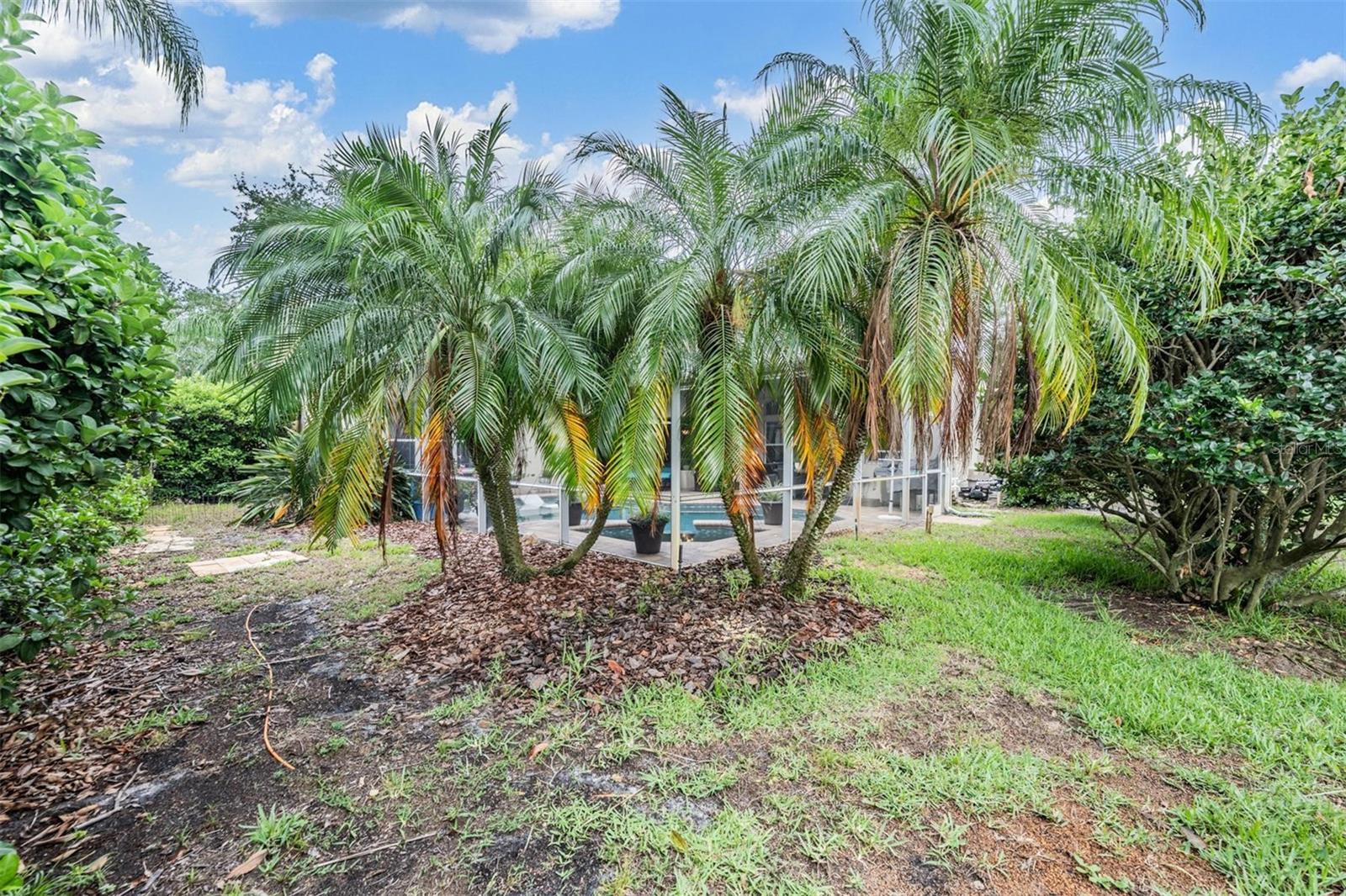 Listing photo id 44 for 3727 Janus Way