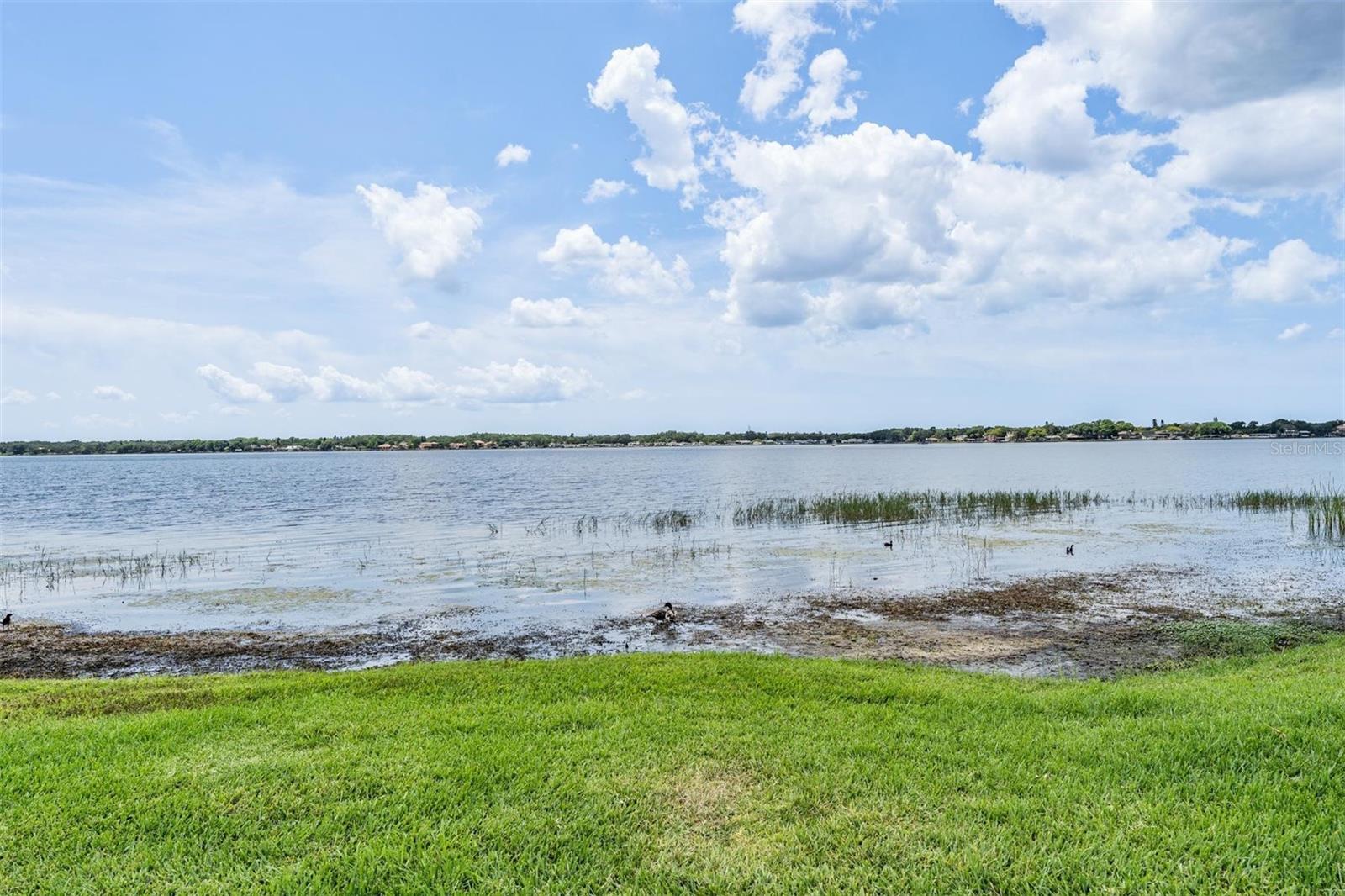 Listing photo id 64 for 3727 Janus Way