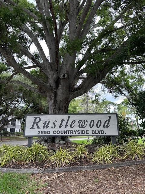 Image 42 of 51 For 2650 Countryside Boulevard C106