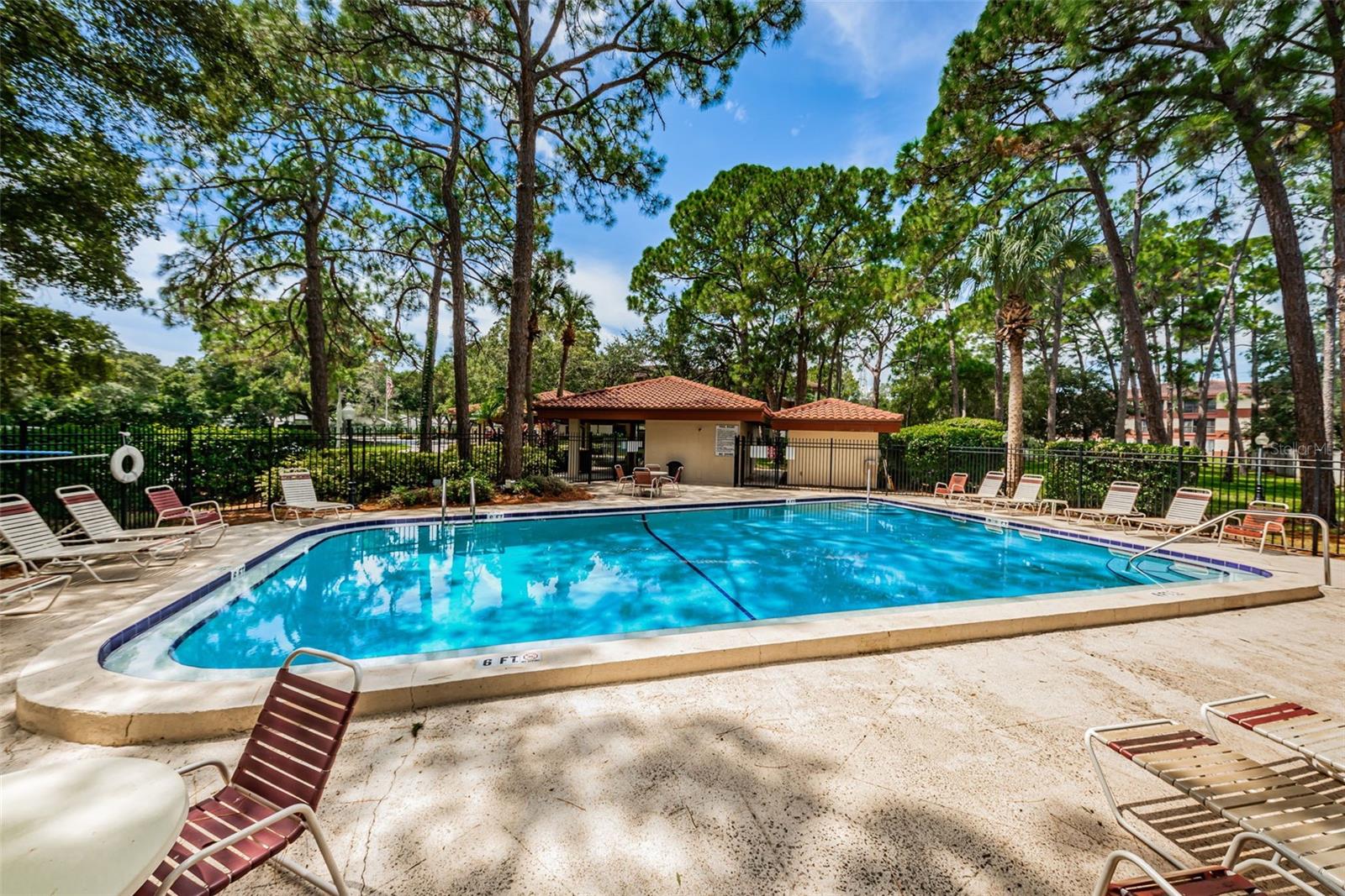 Image 62 of 72 For 2650 Countryside Boulevard C106