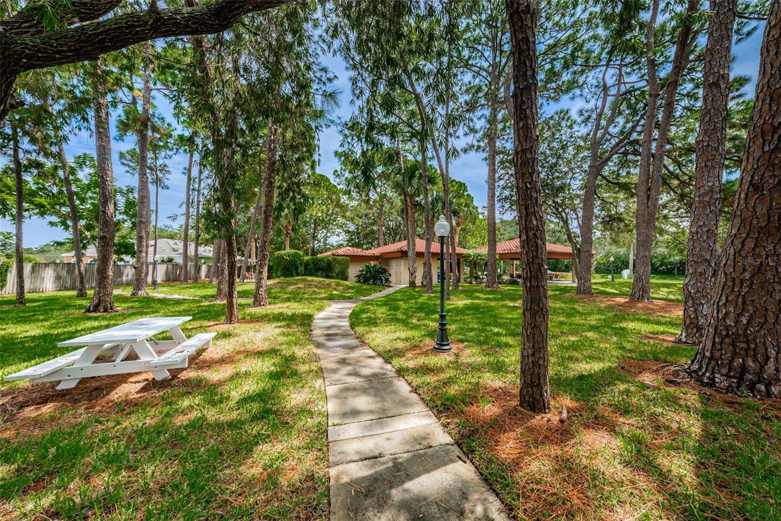 Image 65 of 72 For 2650 Countryside Boulevard C106