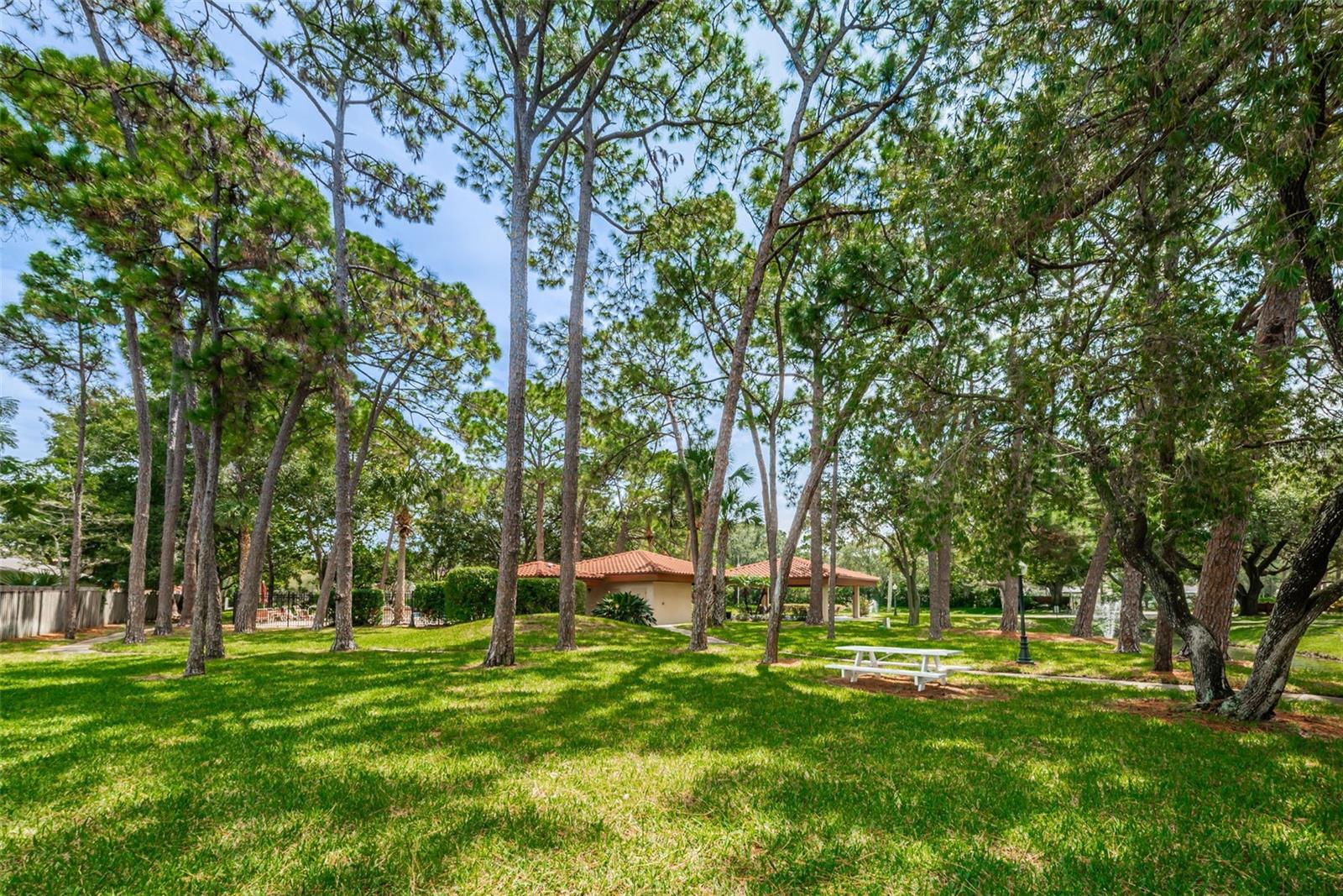 Image 68 of 72 For 2650 Countryside Boulevard C106