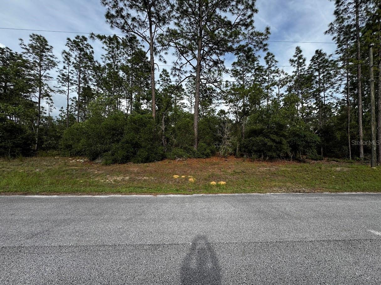 Details for  207th Court , DUNNELLON, FL 34432