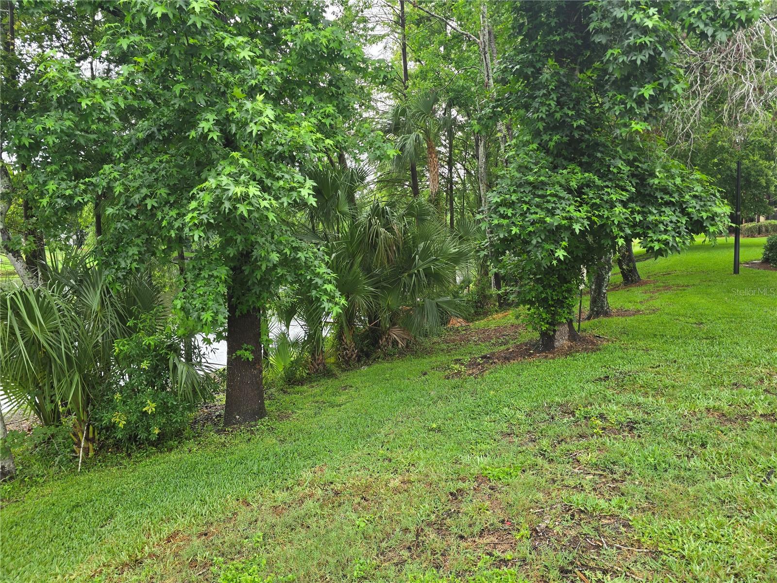 Image 30 of 46 For 11802 Raintree Lake Lane B