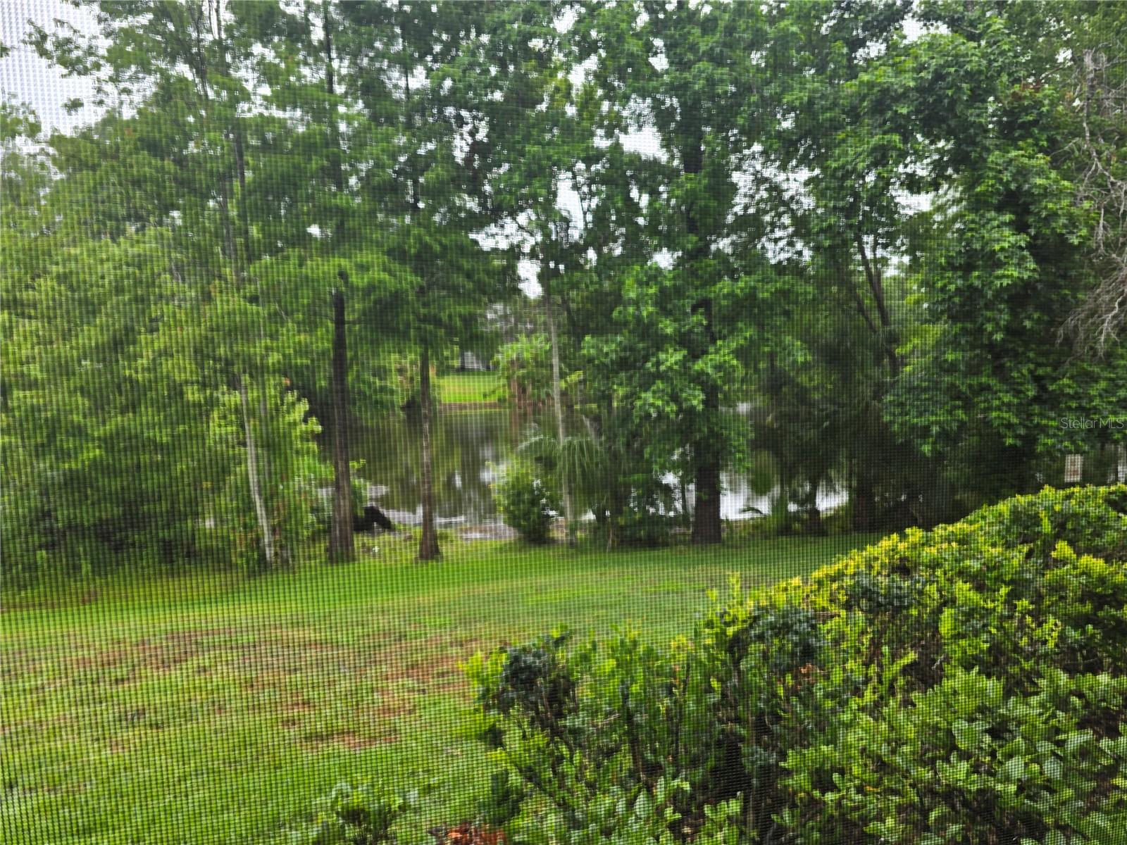 Image 34 of 46 For 11802 Raintree Lake Lane B