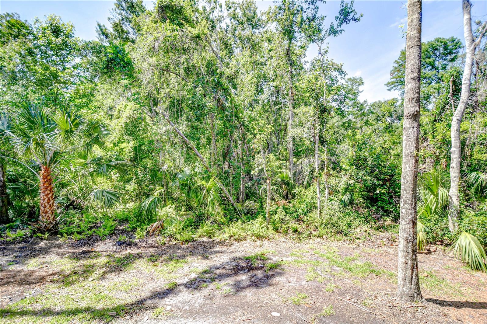Image 31 of 37 For 4968 Anniston Circle
