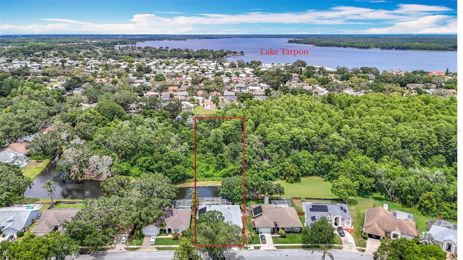 Image 42 of 44 For 3001 Regal Oaks Boulevard