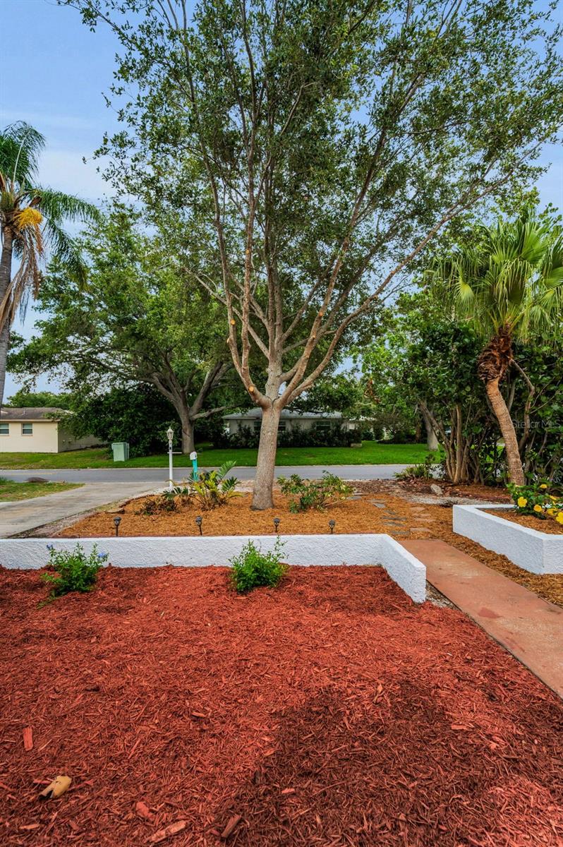 Image 11 of 53 For 2485 Indigo Drive