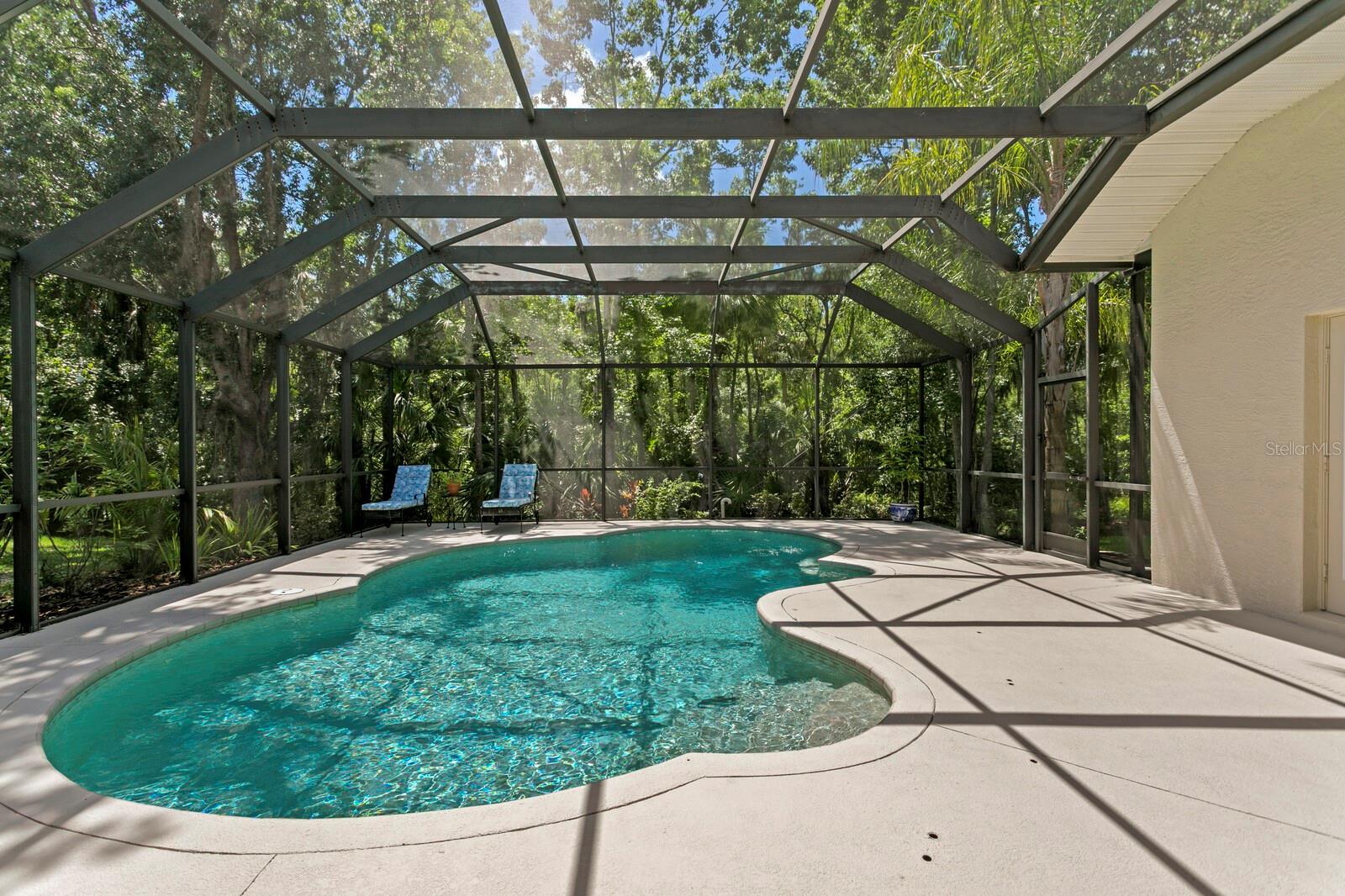 Image 43 of 65 For 17318 Emerald Chase Drive