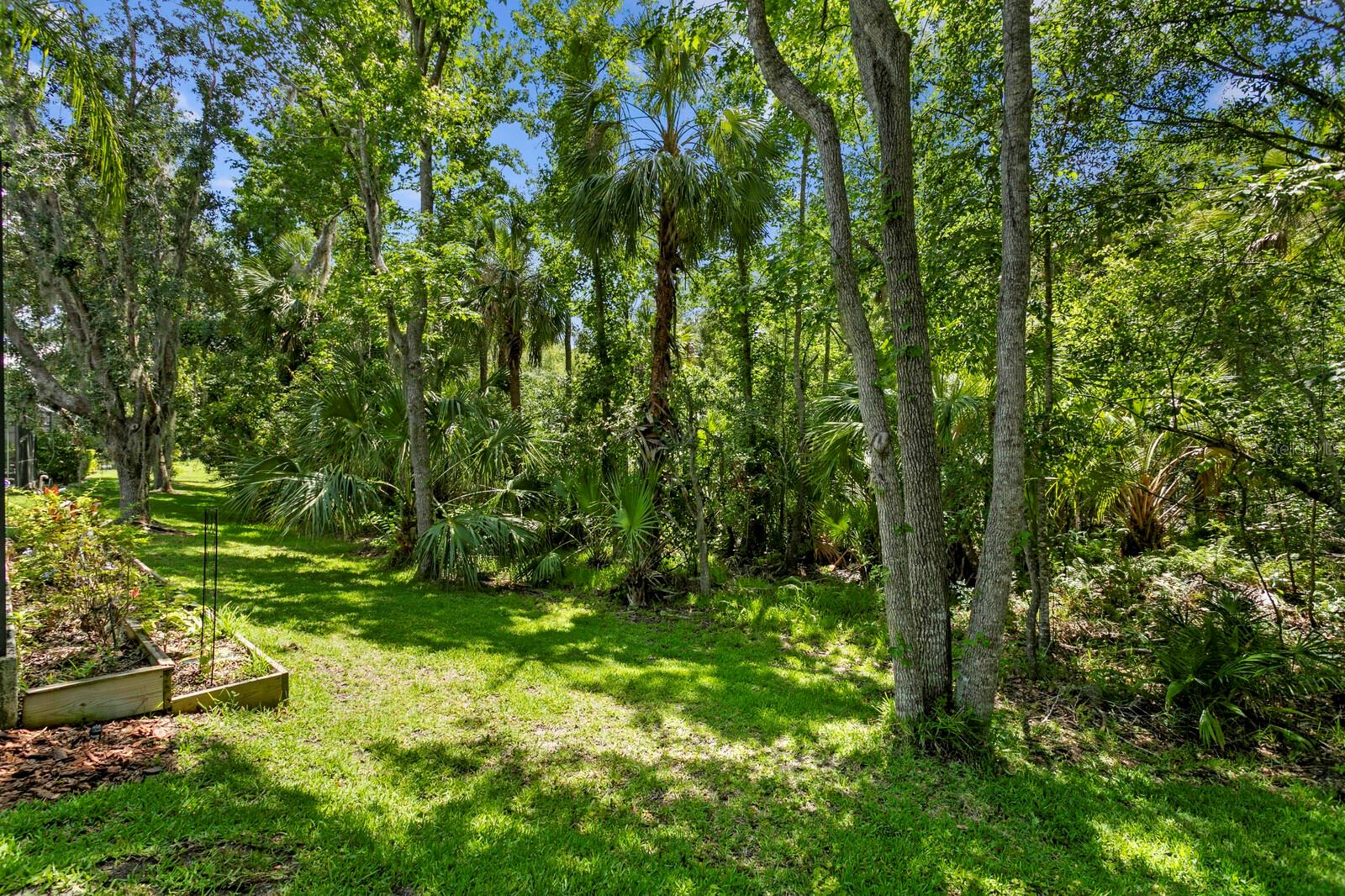 Image 49 of 65 For 17318 Emerald Chase Drive
