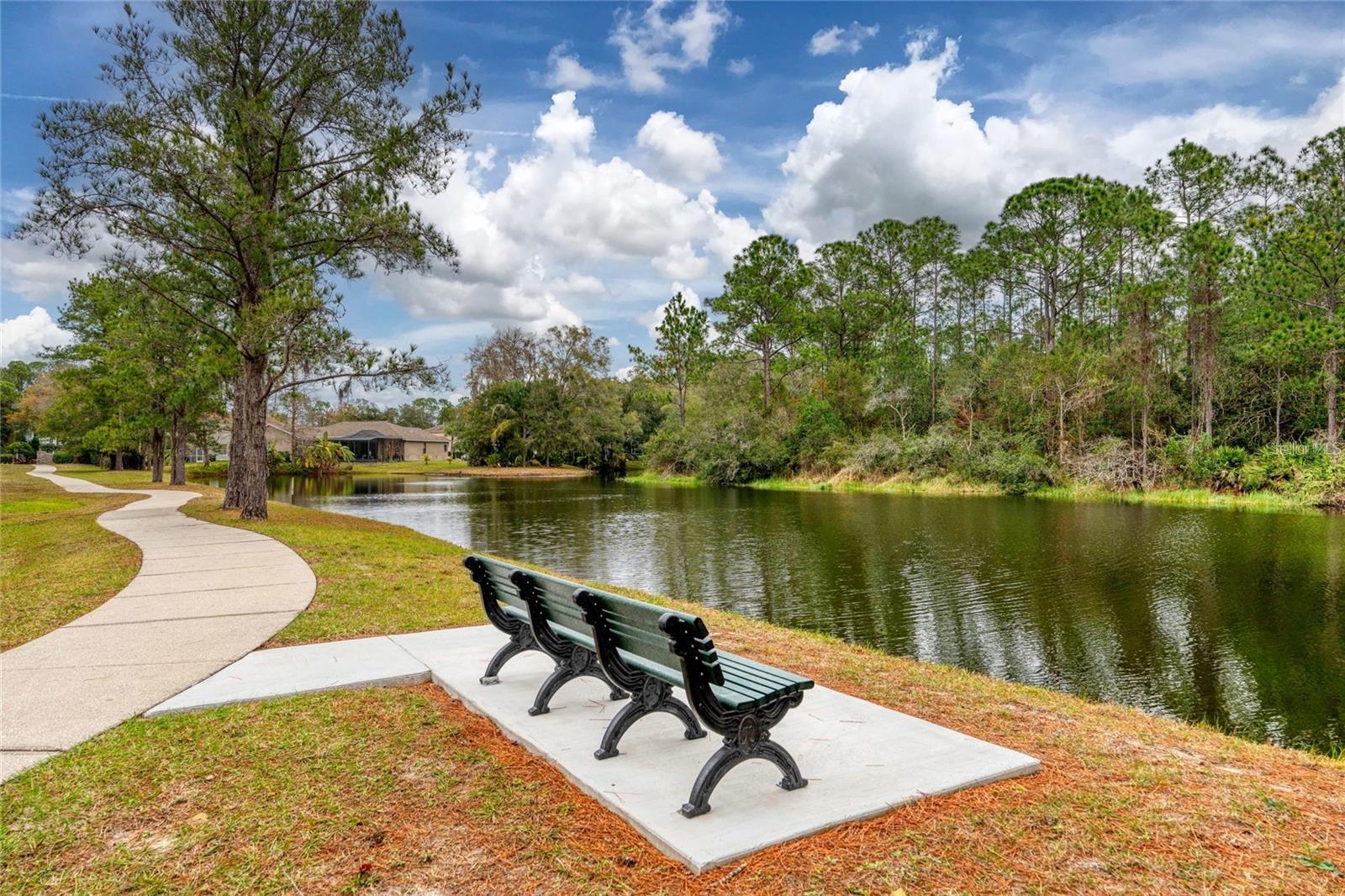 Image 81 of 81 For 12705 Green Heron Way