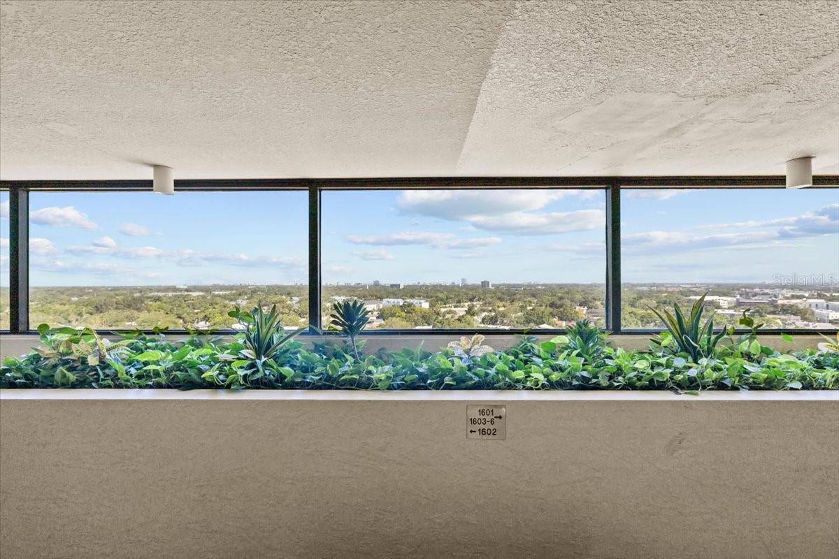 Image 45 of 58 For 2413 Bayshore Boulevard 1604