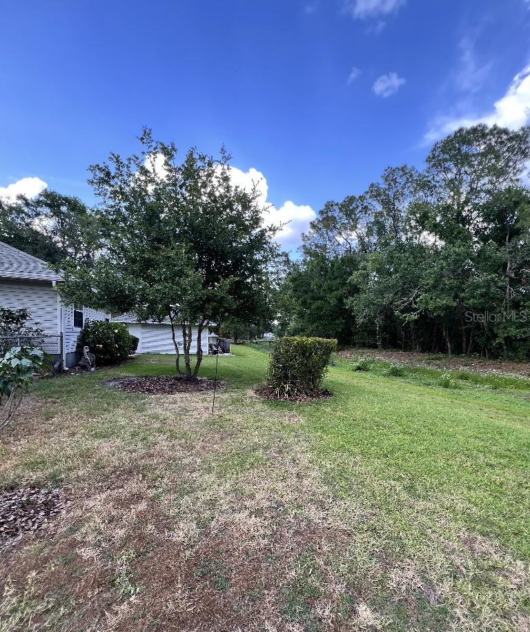Image 6 of 50 For 2528 Deerbrook Drive