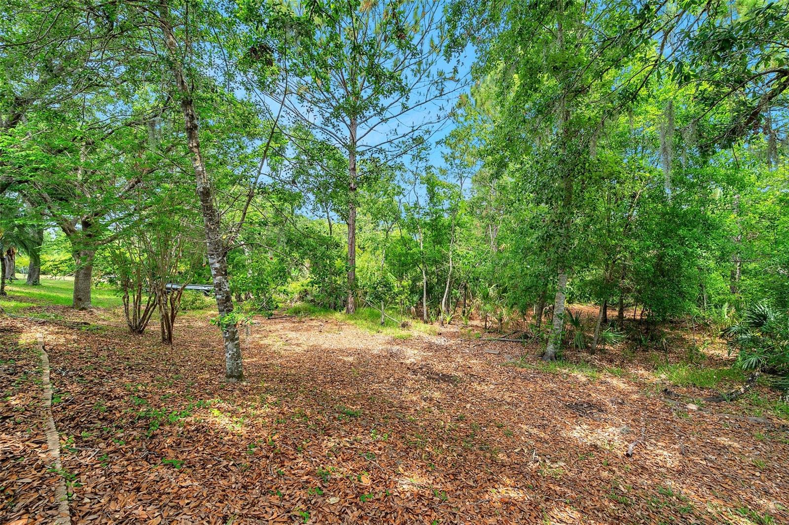 Listing photo id 10 for 19156 Dove Creek Drive