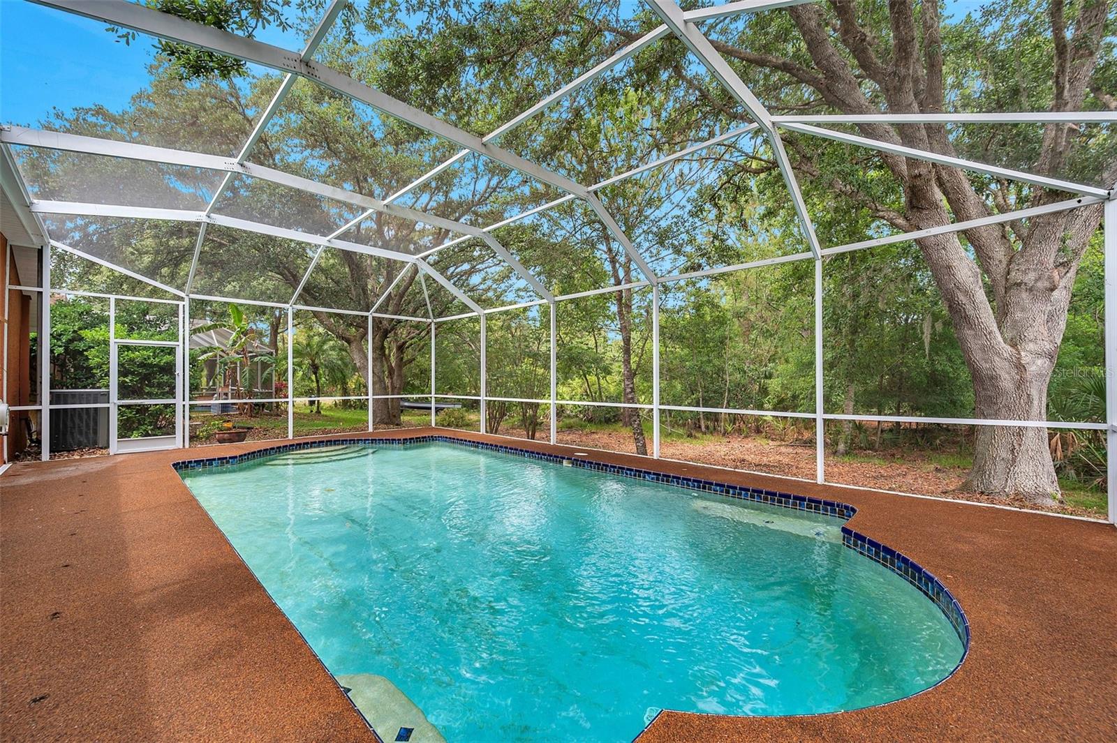 Listing photo id 4 for 19156 Dove Creek Drive