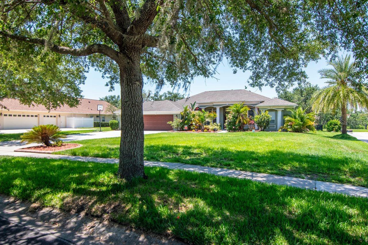 Image 28 of 49 For 12309 Creek Edge Drive