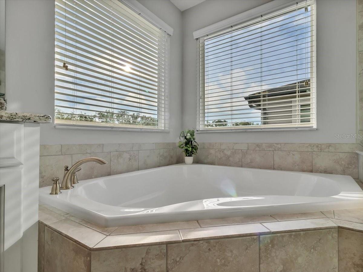 Listing photo id 32 for 17845 Cortes Creek Boulevard