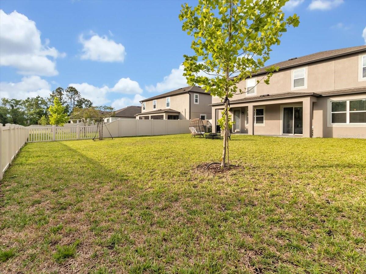Listing photo id 42 for 17845 Cortes Creek Boulevard