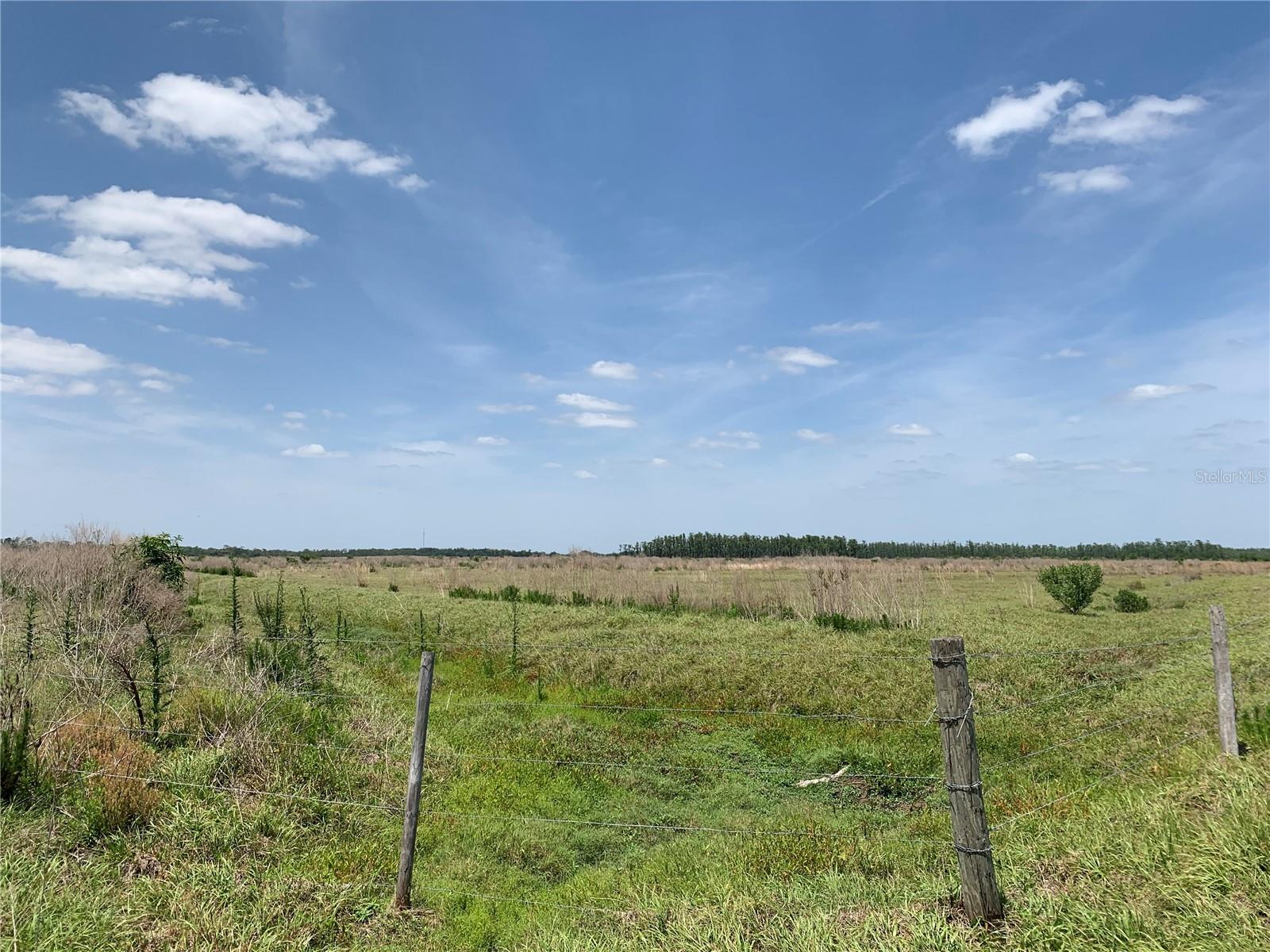 Details for Johnston Road, ZOLFO SPRINGS, FL 33890