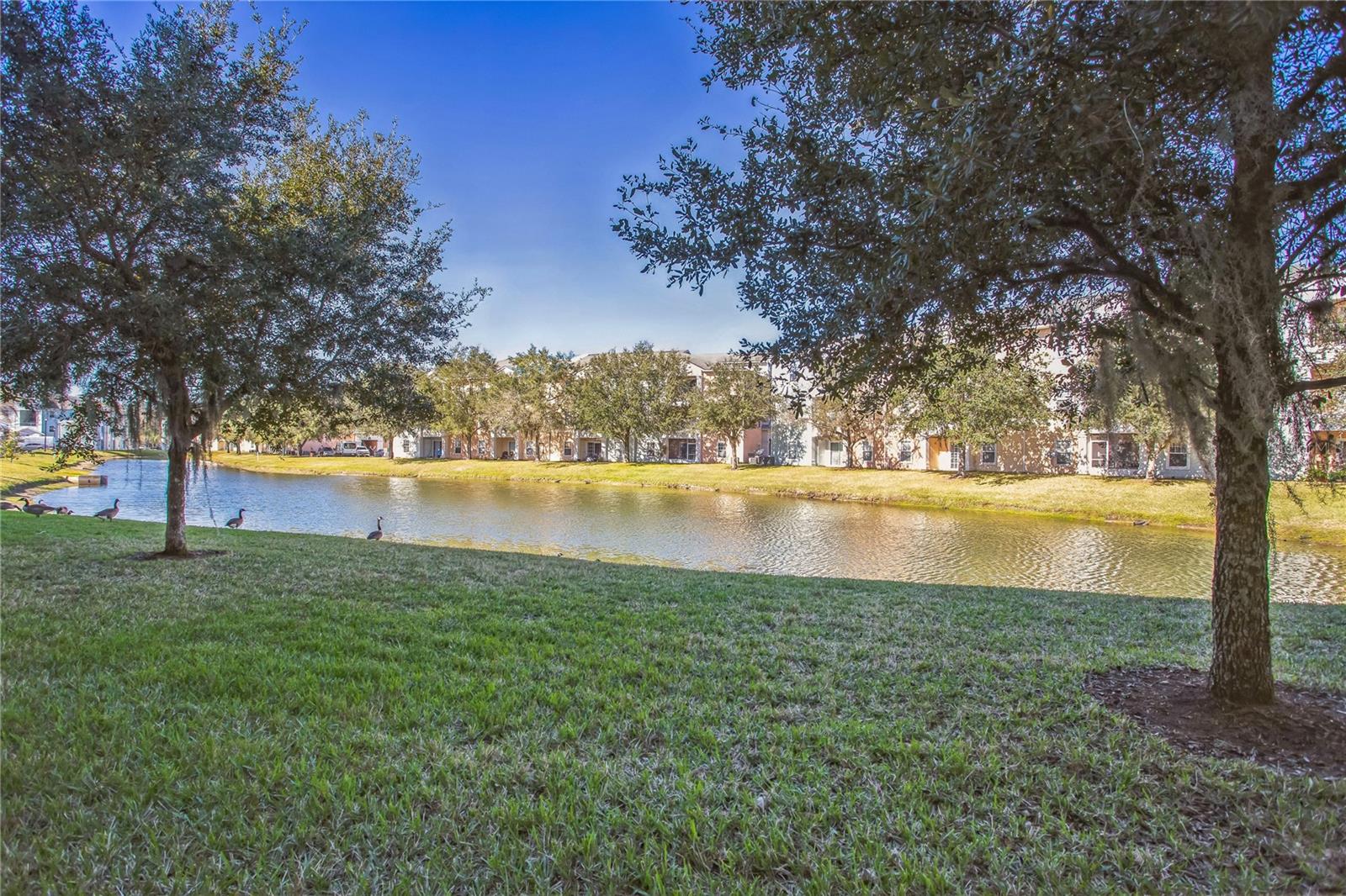 Image 30 of 30 For 4991 Key Lime Dr  104