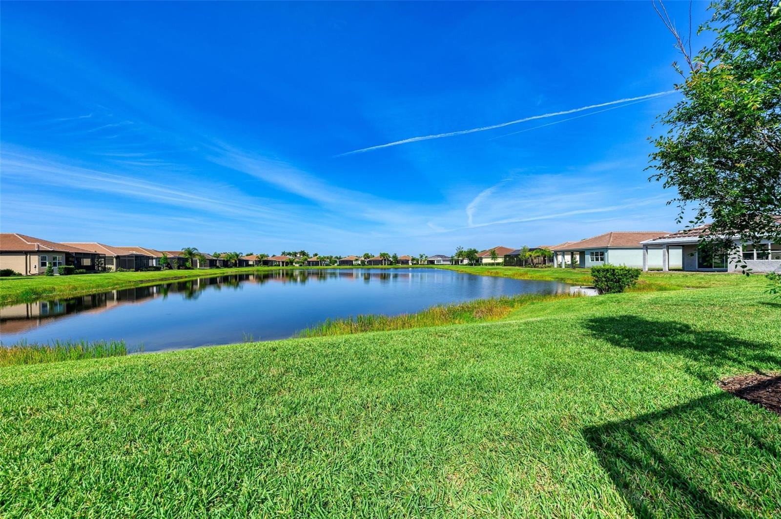 Listing photo id 41 for 15525 Corona Del Mar Drive