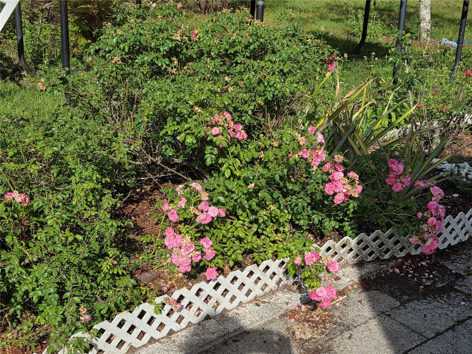 Image 3 of 6 For 115 Marjorie Avenue