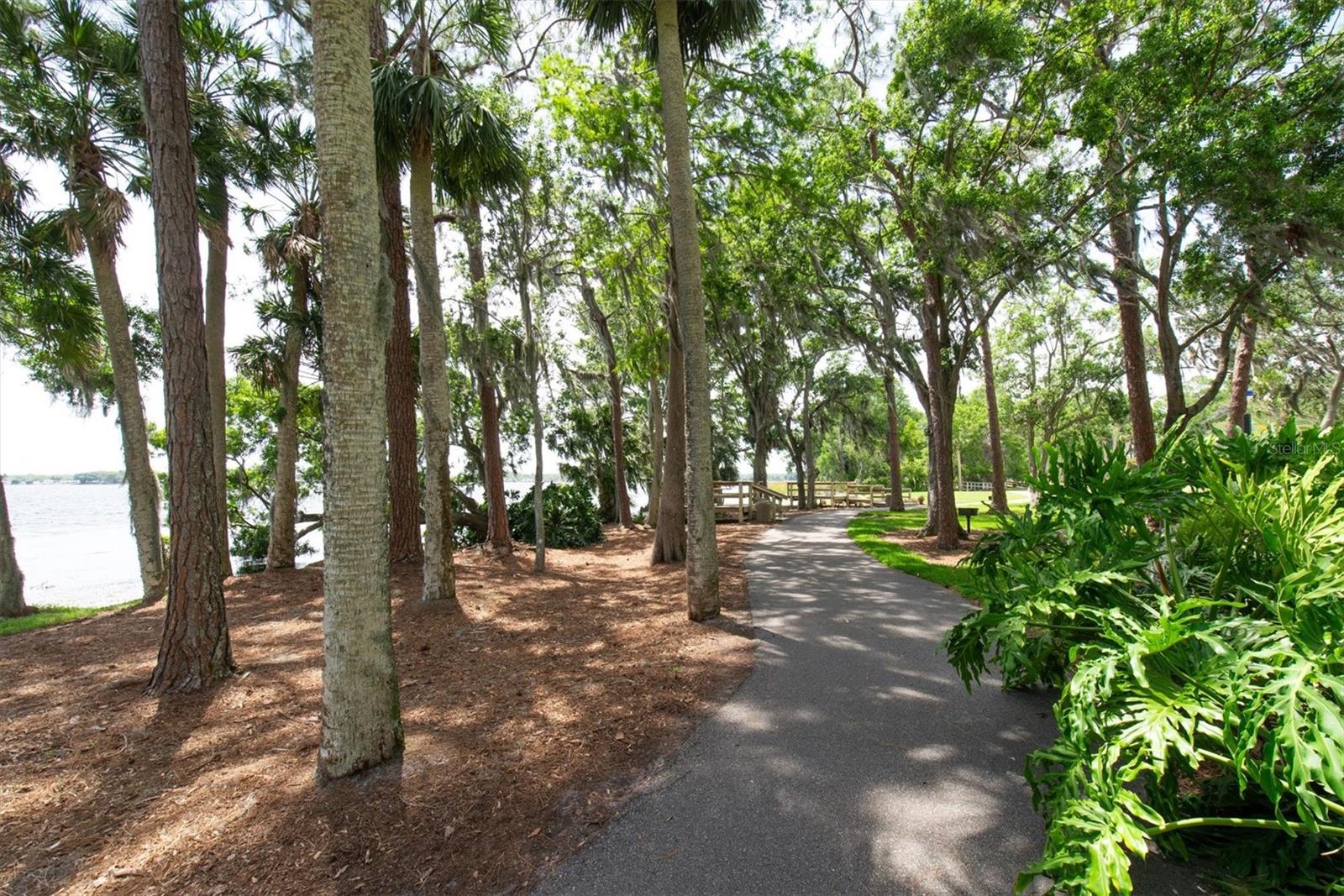 Listing photo id 69 for 3716 Janus Way