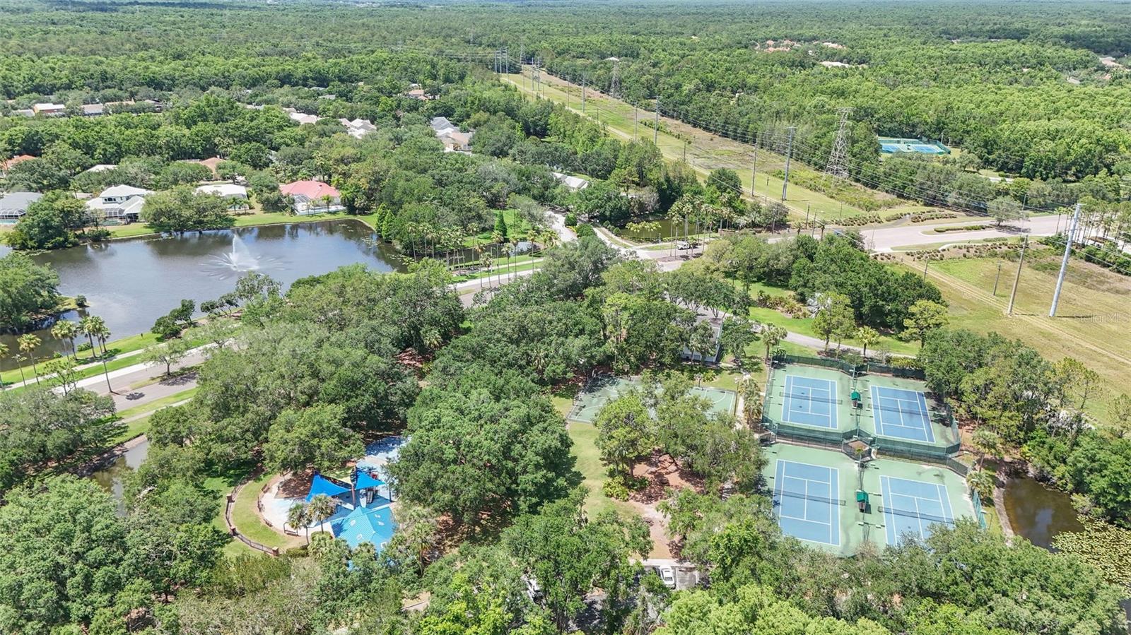 Listing photo id 52 for 16206 Nottingham Park Way
