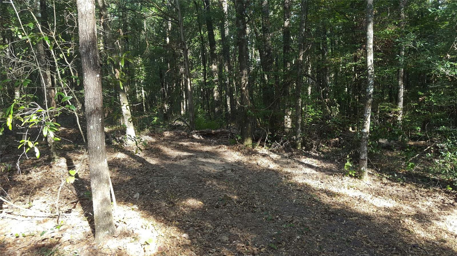 Image 3 of 6 For 0000 Rooks Dr