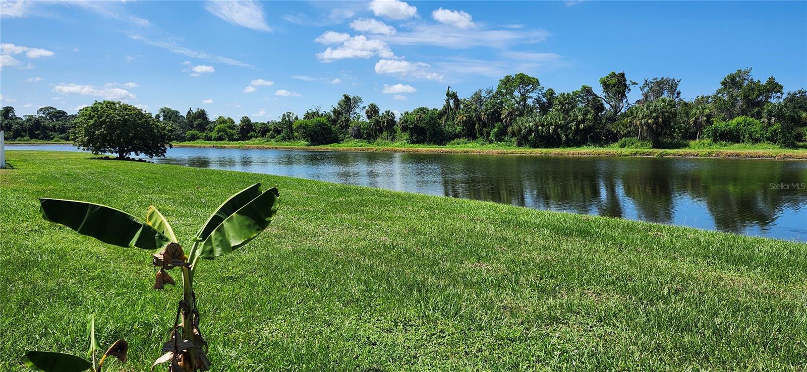 Image 21 of 25 For 7524 Dragon Fly