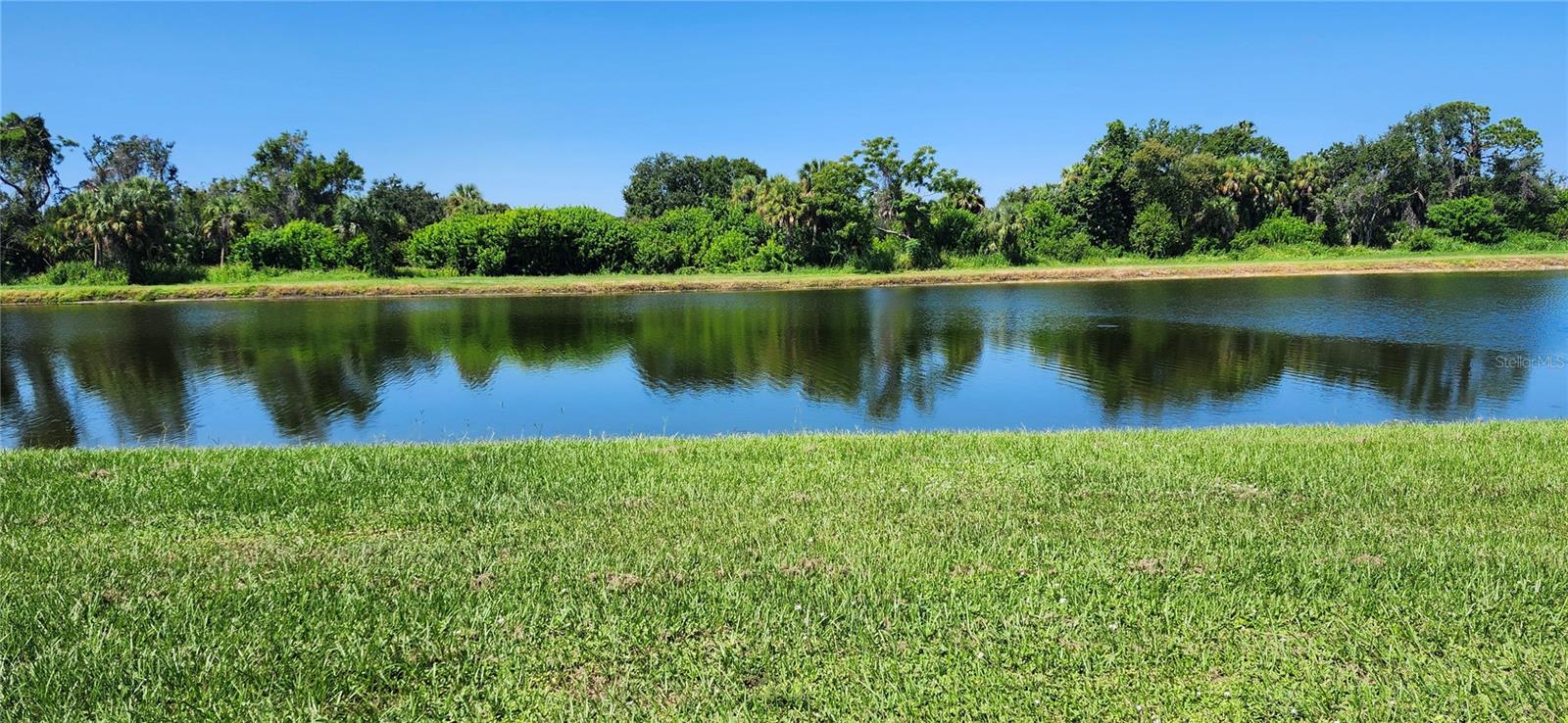 Image 22 of 25 For 7524 Dragon Fly