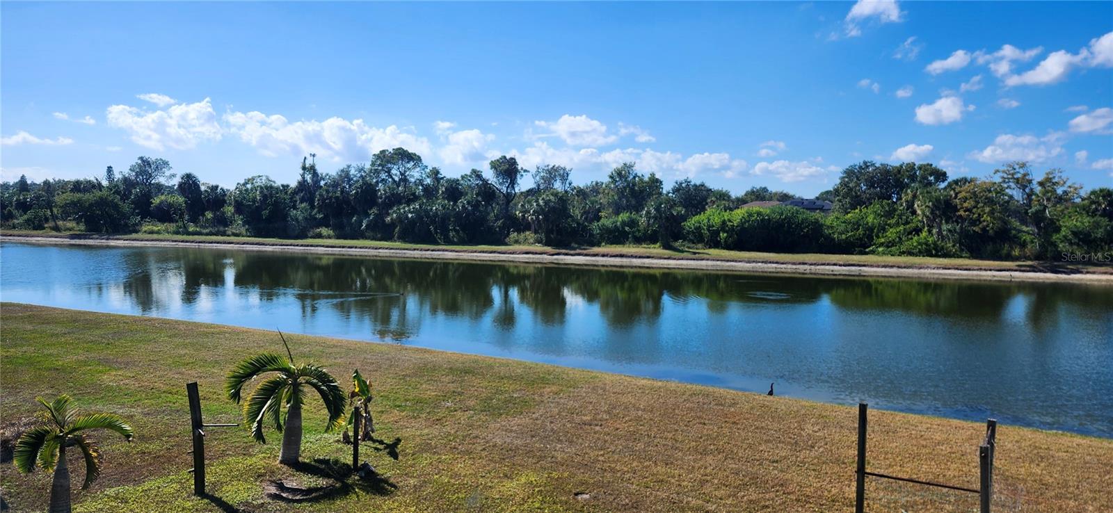 Image 41 of 67 For 7524 Dragon Fly