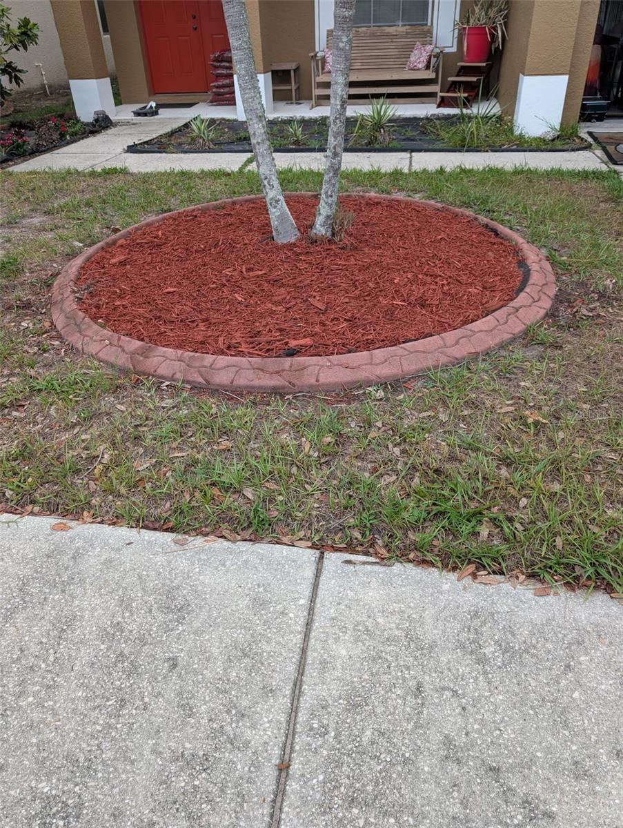 Image 56 of 67 For 7524 Dragon Fly