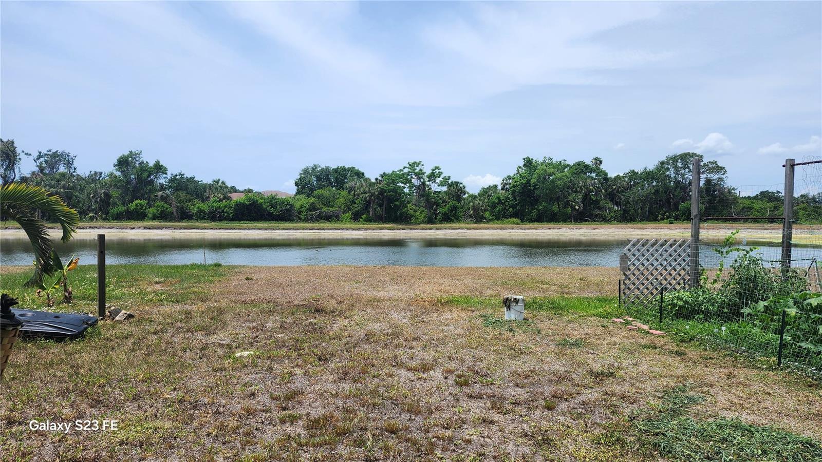 Image 66 of 67 For 7524 Dragon Fly