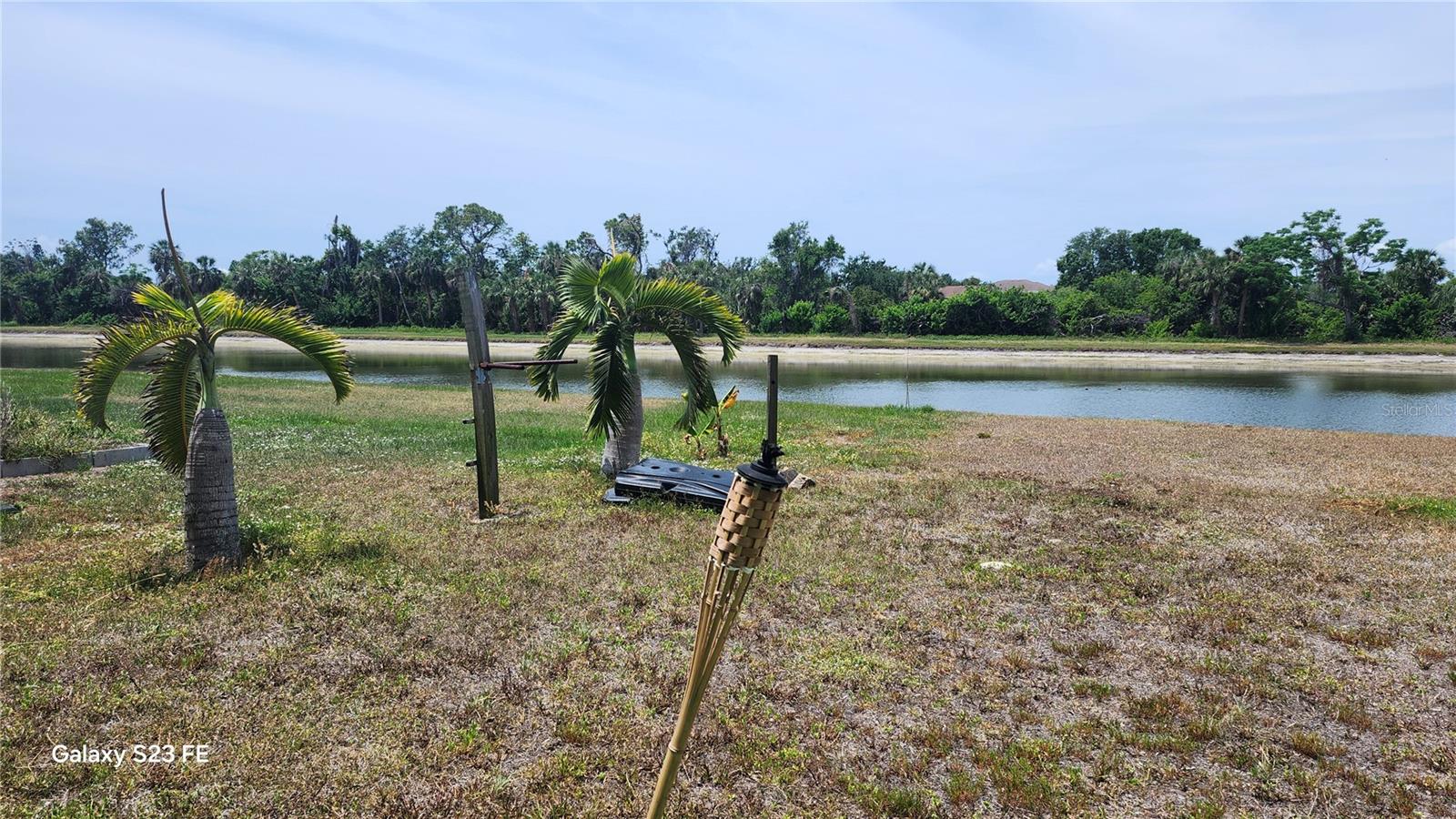 Image 67 of 67 For 7524 Dragon Fly