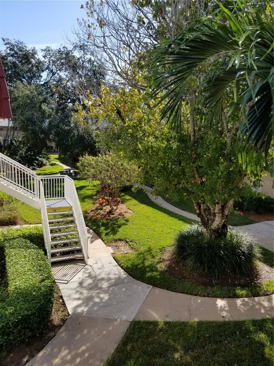 Listing photo id 1 for 10035 63rd Avenue N 25