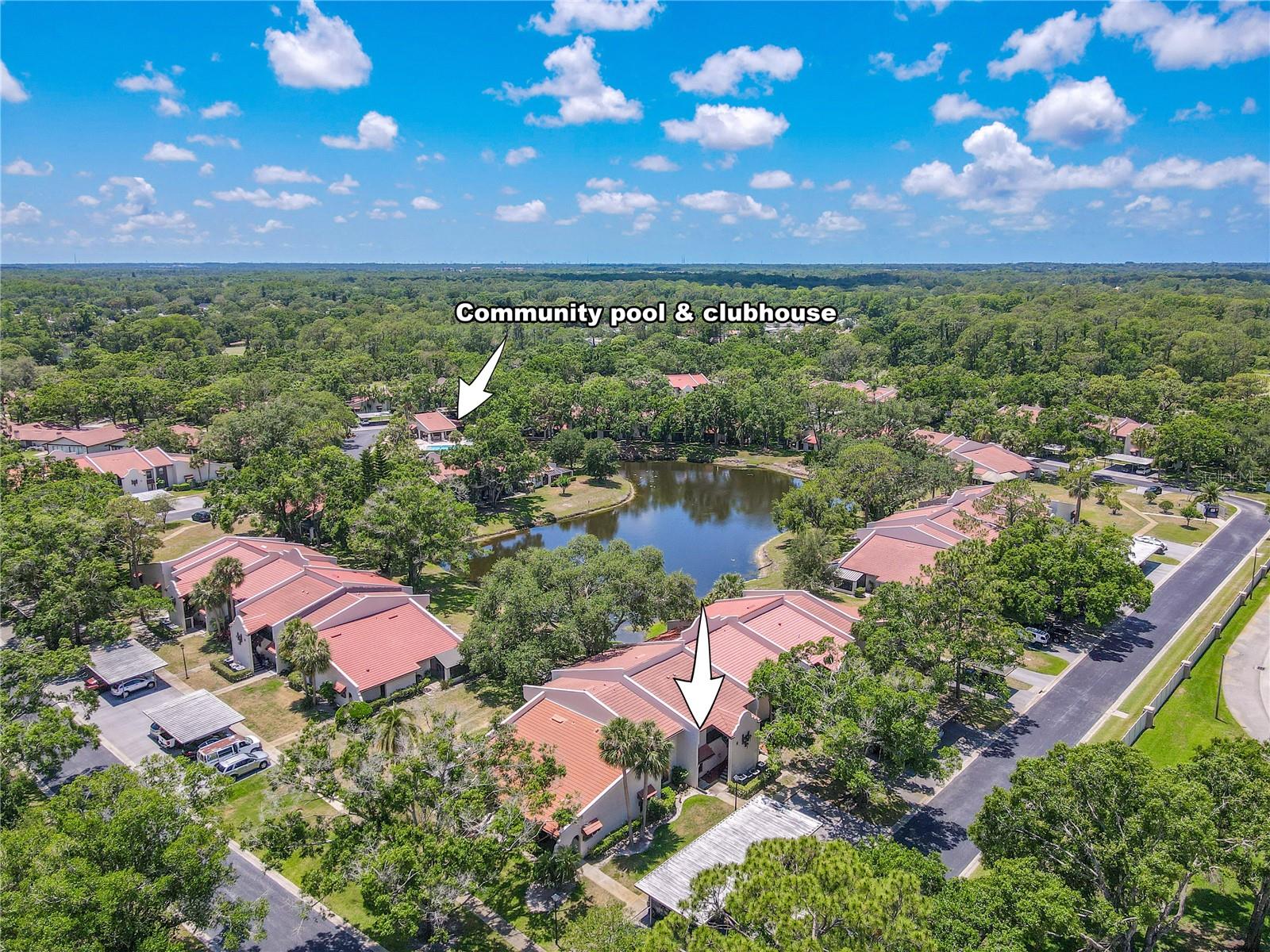 Image 2 of 54 For 3505 Tarpon Woods Boulevard N405