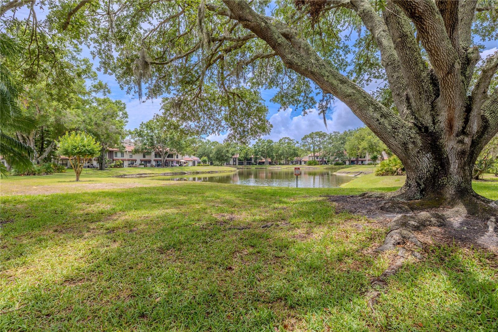 Image 21 of 54 For 3505 Tarpon Woods Boulevard N405