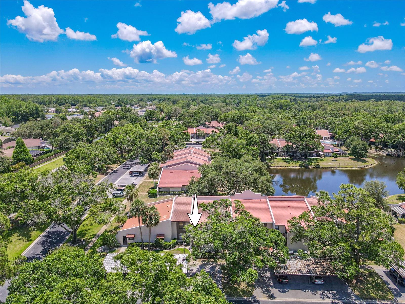 Image 36 of 54 For 3505 Tarpon Woods Boulevard N405