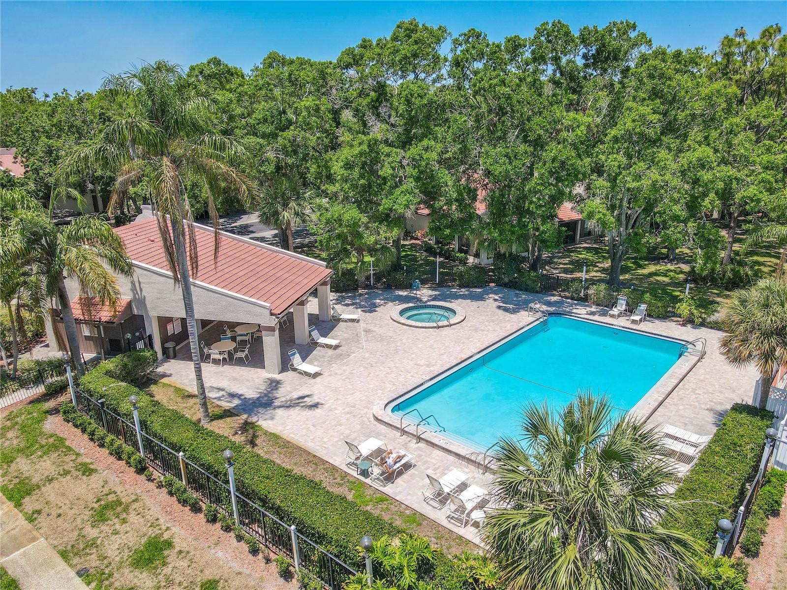 Image 39 of 54 For 3505 Tarpon Woods Boulevard N405